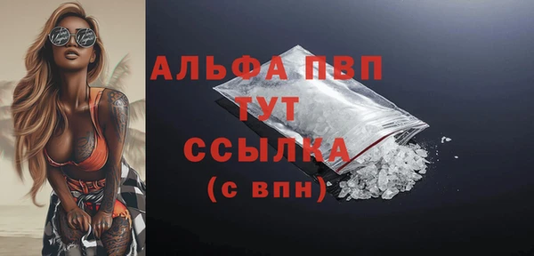 гашик Белокуриха