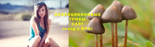 гашик Белокуриха