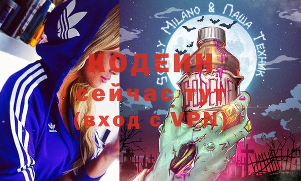 гашик Белокуриха