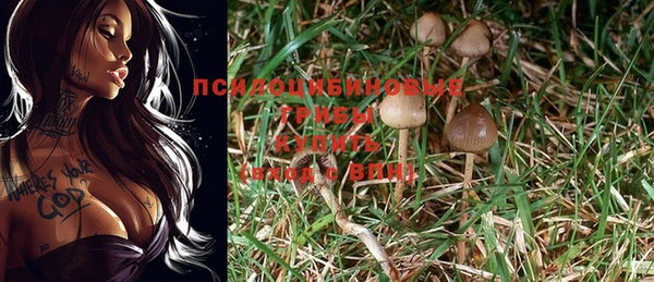 ешки Беломорск